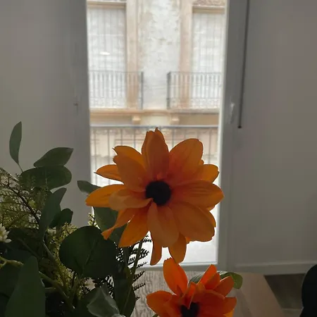 Apartment Jorge Juan
